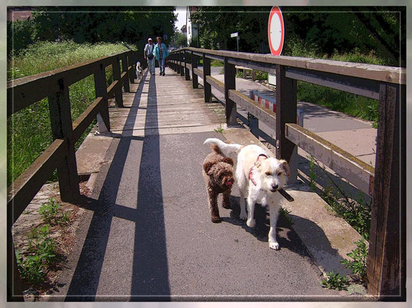 Über diese schmale Brücke