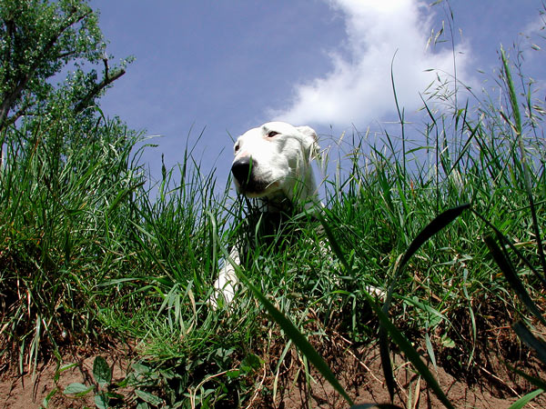 babe_und_wolke